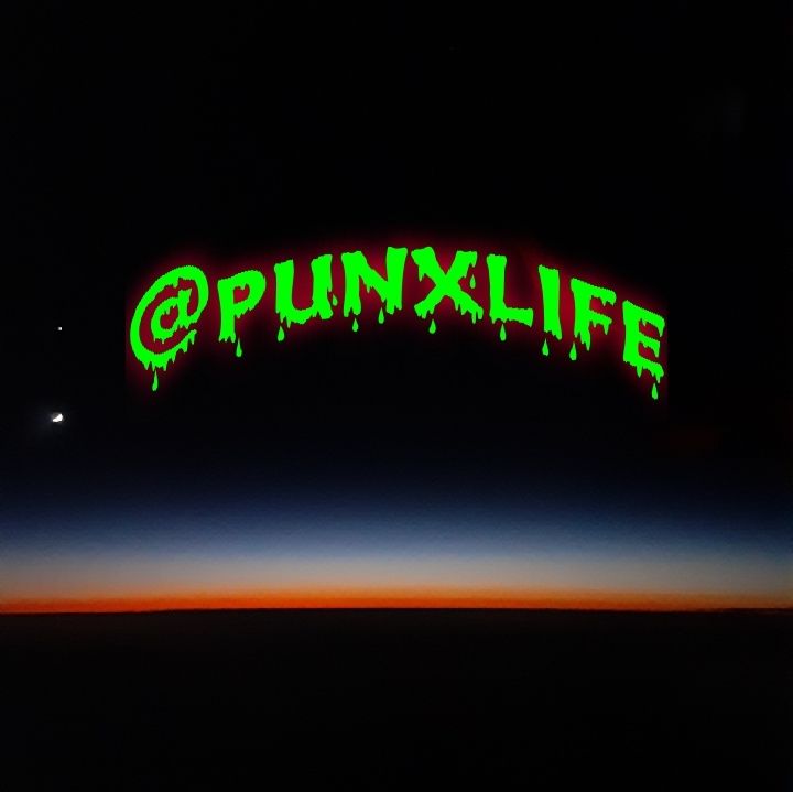 punxlife OnlyFans profile picture
