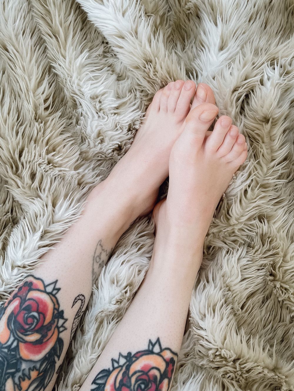 letalexfeetyou OnlyFans profile picture