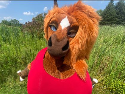 rain_horsie OnlyFans picture
