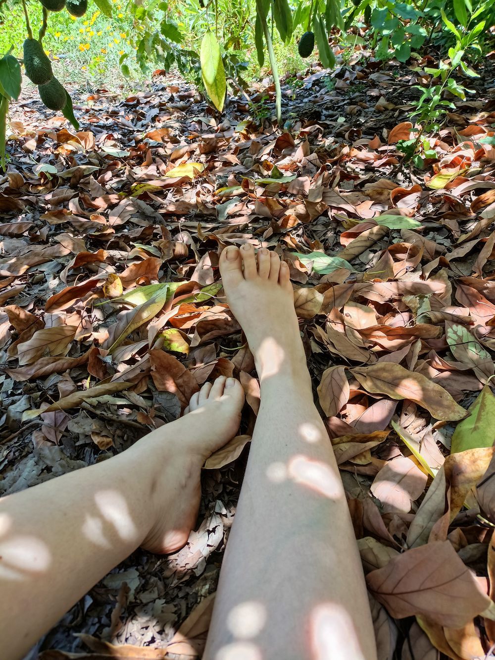 nia.green.leaf OnlyFans profile picture