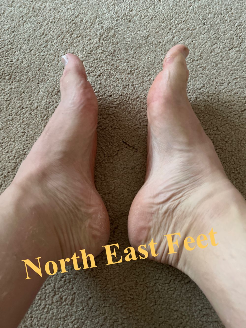 northeastfeet90 OnlyFans profile picture