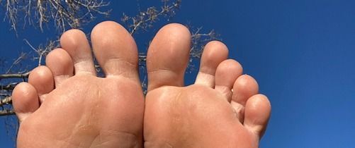 erikafancyfeet OnlyFans profile picture