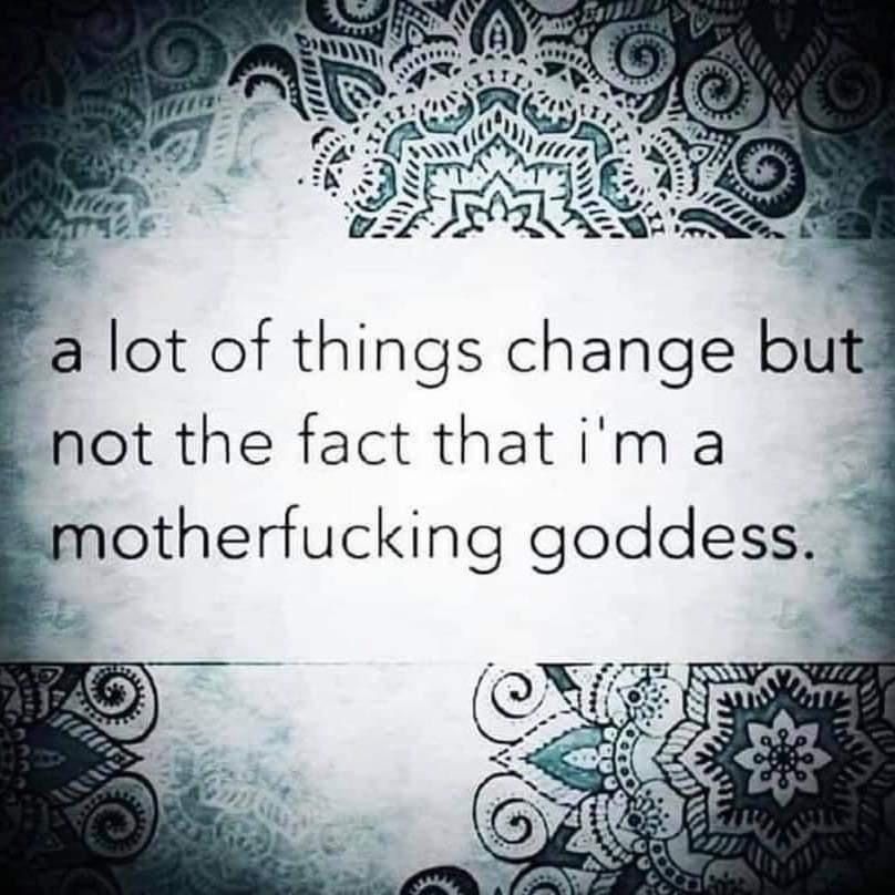 bitchtits08 OnlyFans profile picture