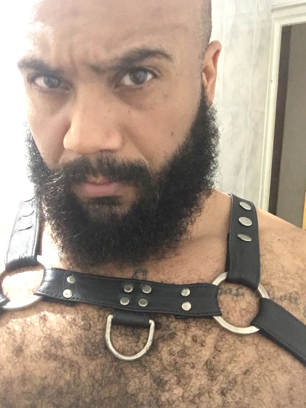 tibbers03 OnlyFans profile picture