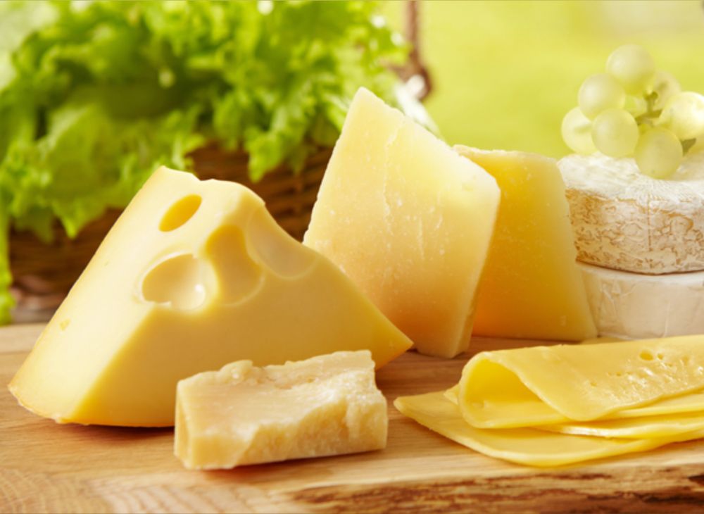ylylcheese OnlyFans profile picture