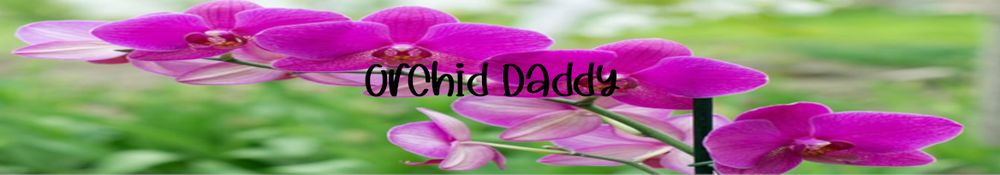 orchid_daddy OnlyFans profile picture