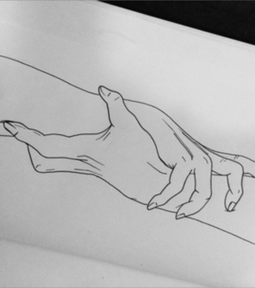fameass OnlyFans profile picture