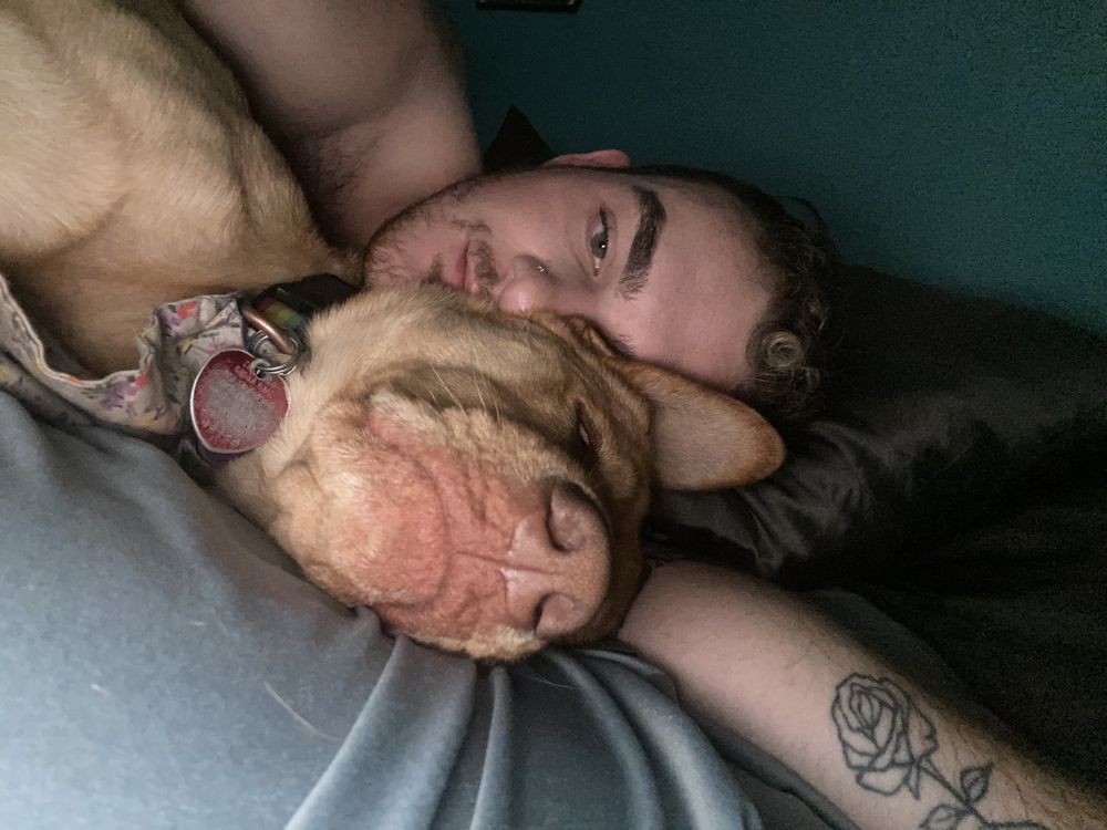 dandanthemanxxx OnlyFans profile picture