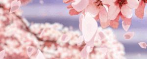 princess_peets OnlyFans profile picture