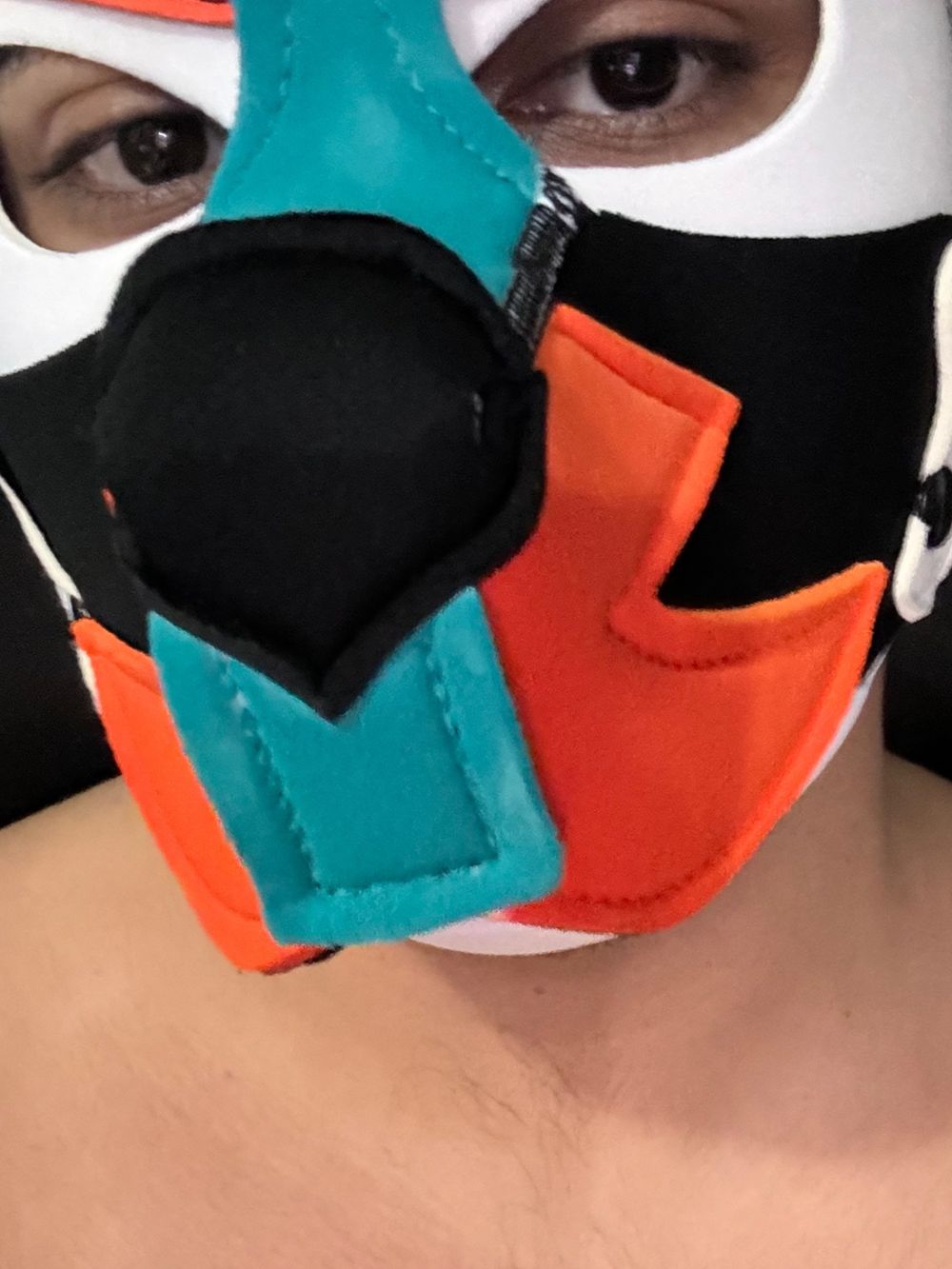 evensthewolf OnlyFans profile picture