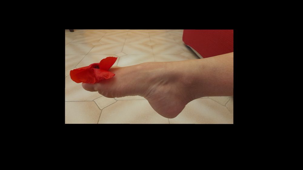 sweetdancerfoot OnlyFans profile picture