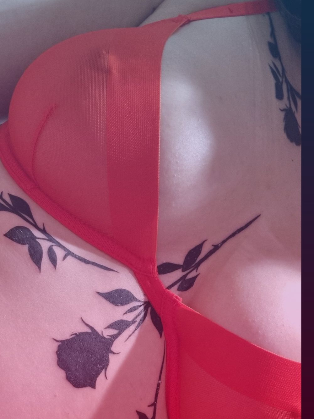 bonniefaye OnlyFans profile picture
