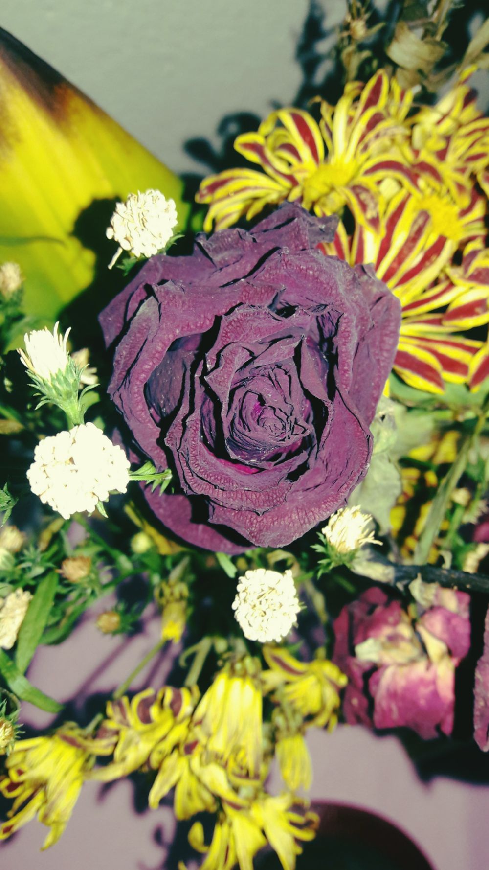 fallenflower_from_heaven OnlyFans profile picture