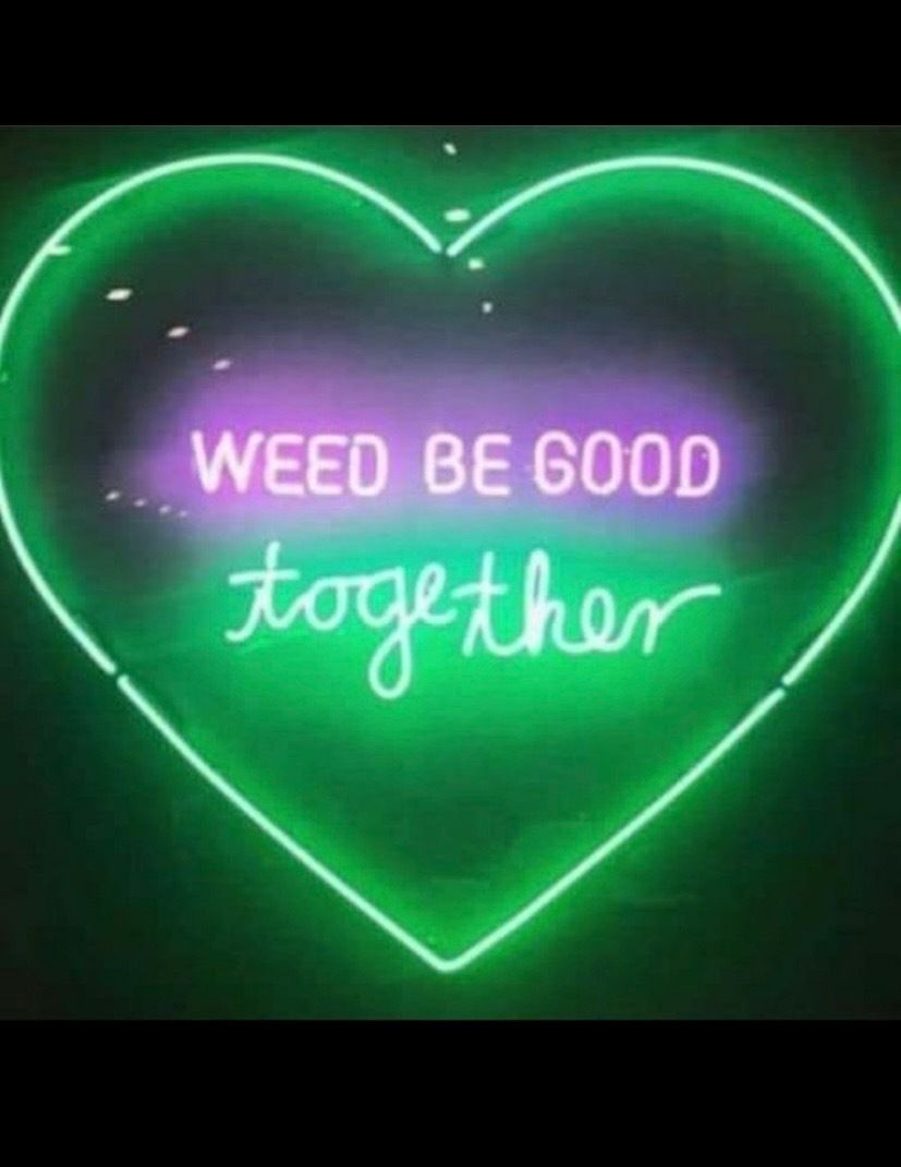 stonercjlynn OnlyFans profile picture