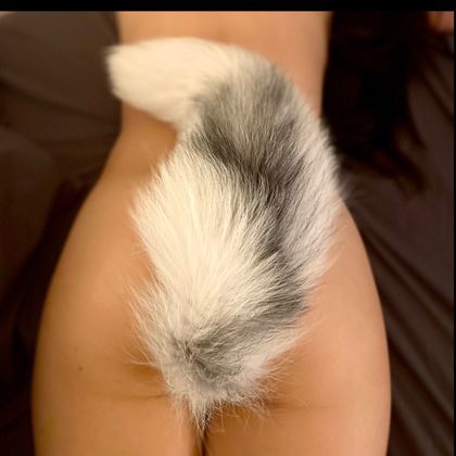 mystiquetails OnlyFans picture