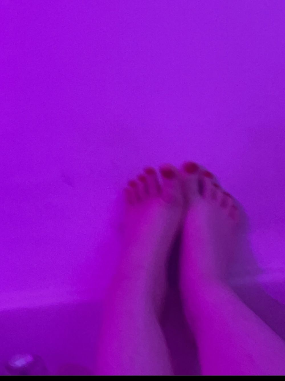 scifiwabbit OnlyFans profile picture