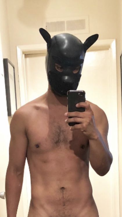 ozz_renard OnlyFans picture