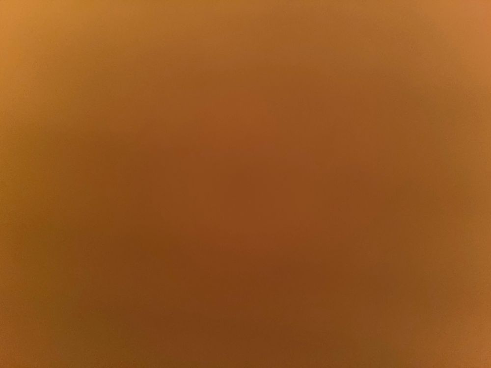 bellebbxox OnlyFans profile picture