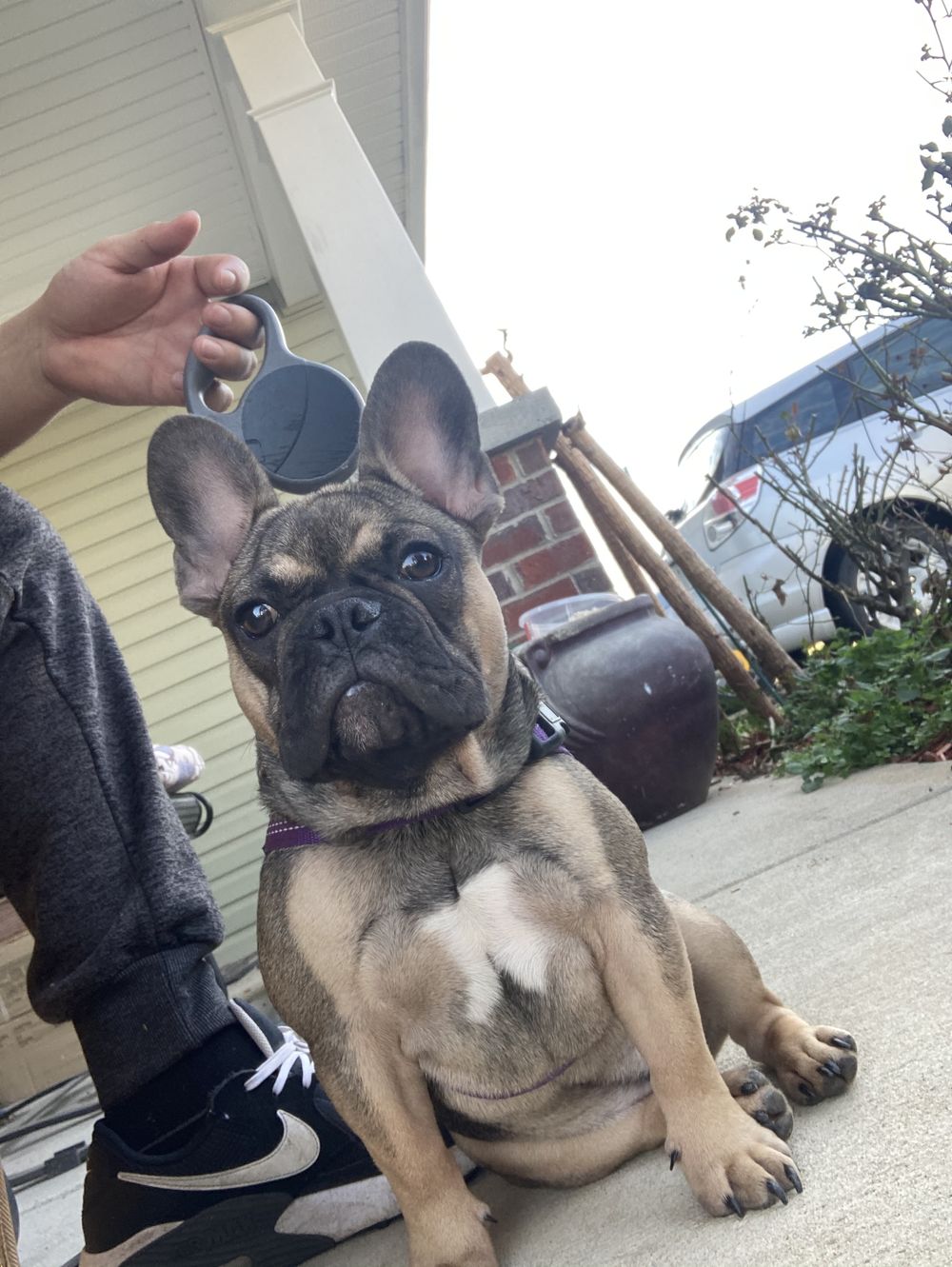 jeisonrendon4 OnlyFans profile picture