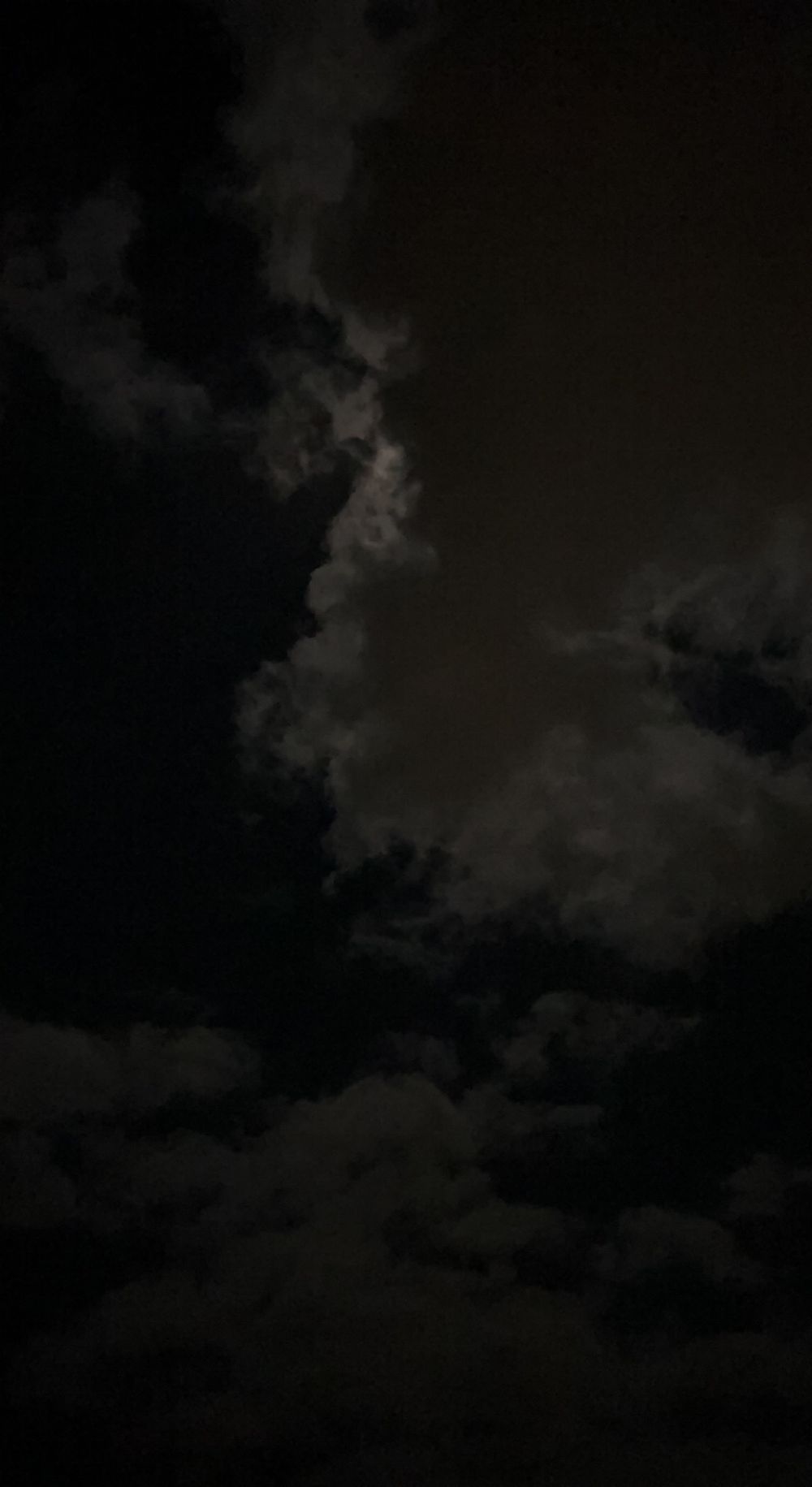 euphoricgemini OnlyFans profile picture