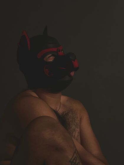 puphex OnlyFans picture
