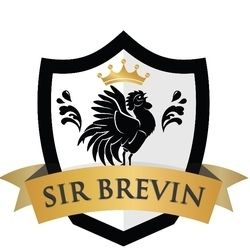 sirbrevin OnlyFans picture