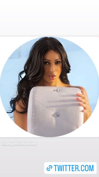 organicchar OnlyFans - Stats, Graphs, Photos & Profile Comparisons