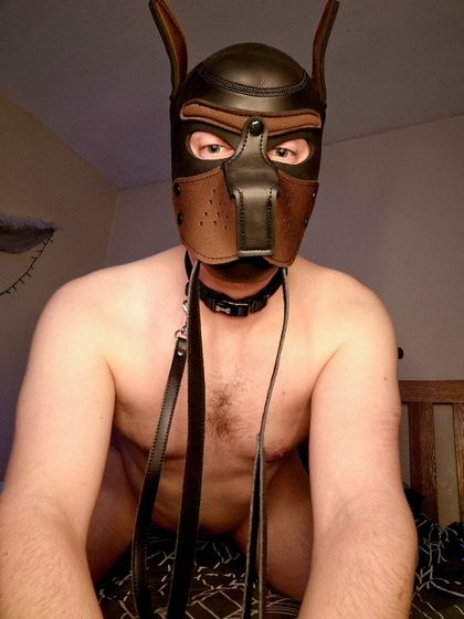 puppyboyshepherd OnlyFans picture