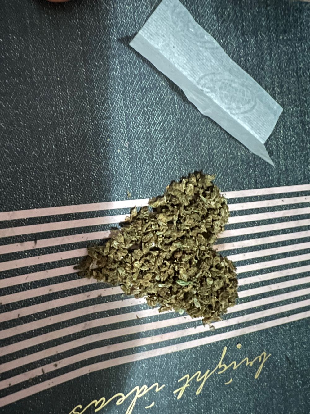 bbya177 OnlyFans profile picture