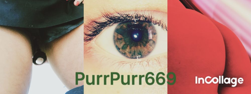purrpurr669 OnlyFans profile picture