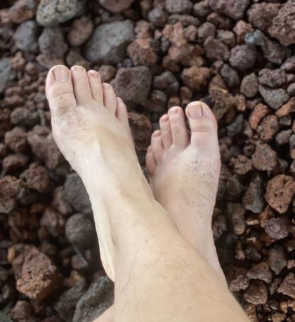 toesbee4hoes OnlyFans picture