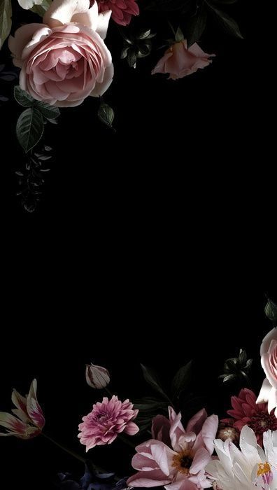 krystaledmond OnlyFans profile picture