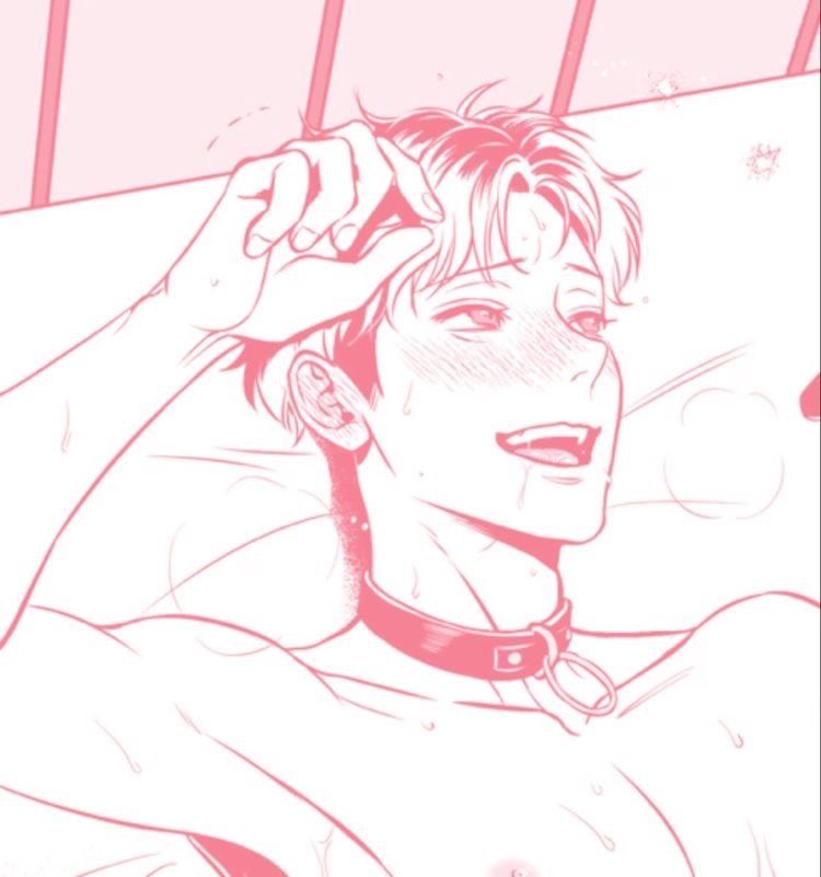 xadoreex OnlyFans profile picture