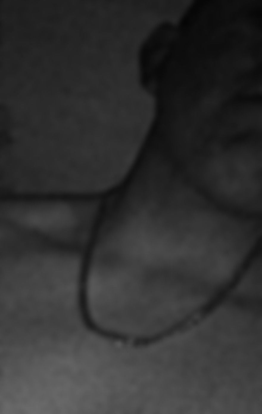 alexisda OnlyFans profile picture