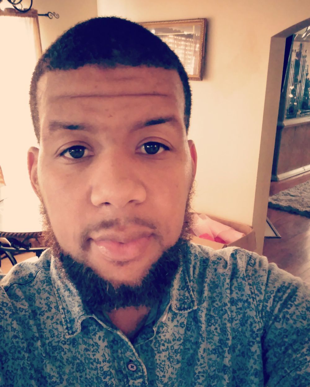 dinothegreat713 OnlyFans profile picture