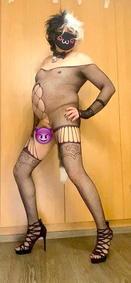 u11883050 OnlyFans picture
