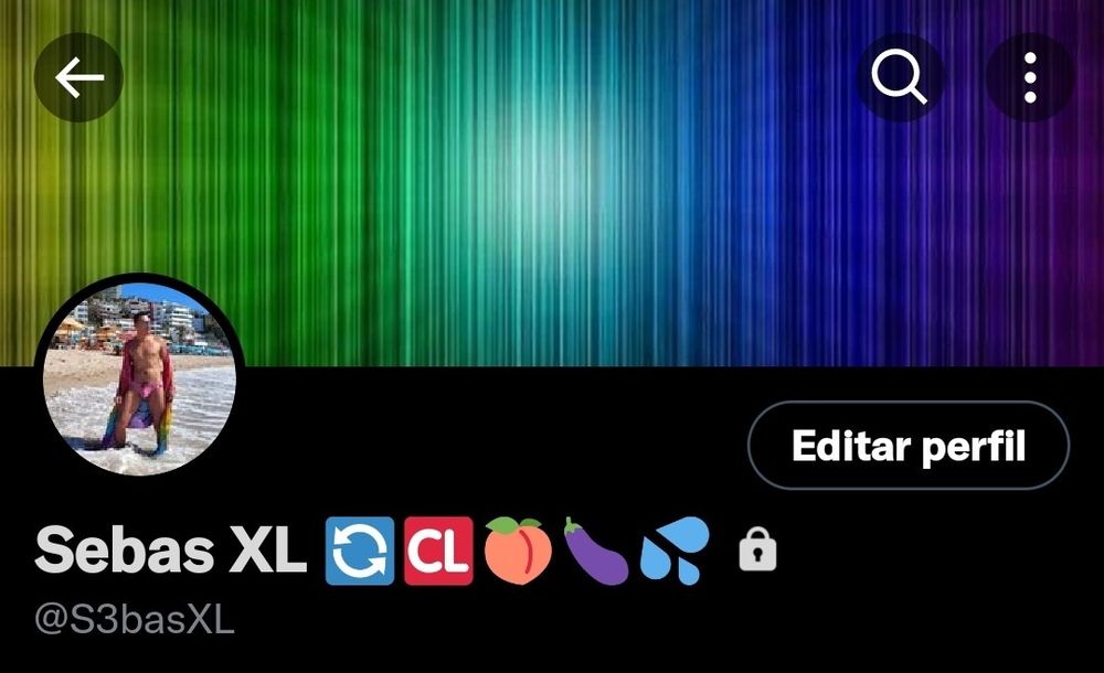 sebasxl OnlyFans profile picture