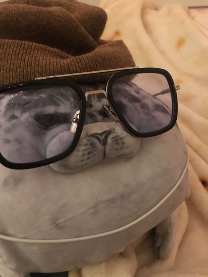 seal.kudge OnlyFans picture