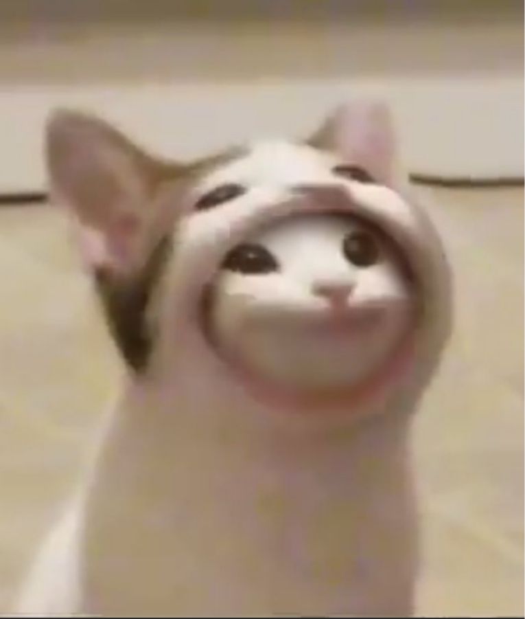 subbygirldick OnlyFans profile picture