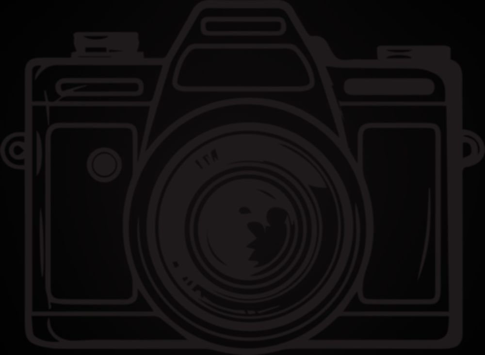 allmi_darkroom OnlyFans profile picture