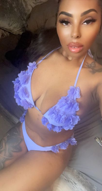 shanelledollxo OnlyFans picture