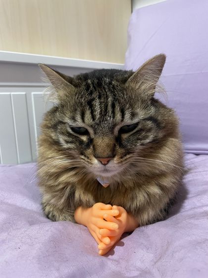 tinyhands_and_titties OnlyFans picture