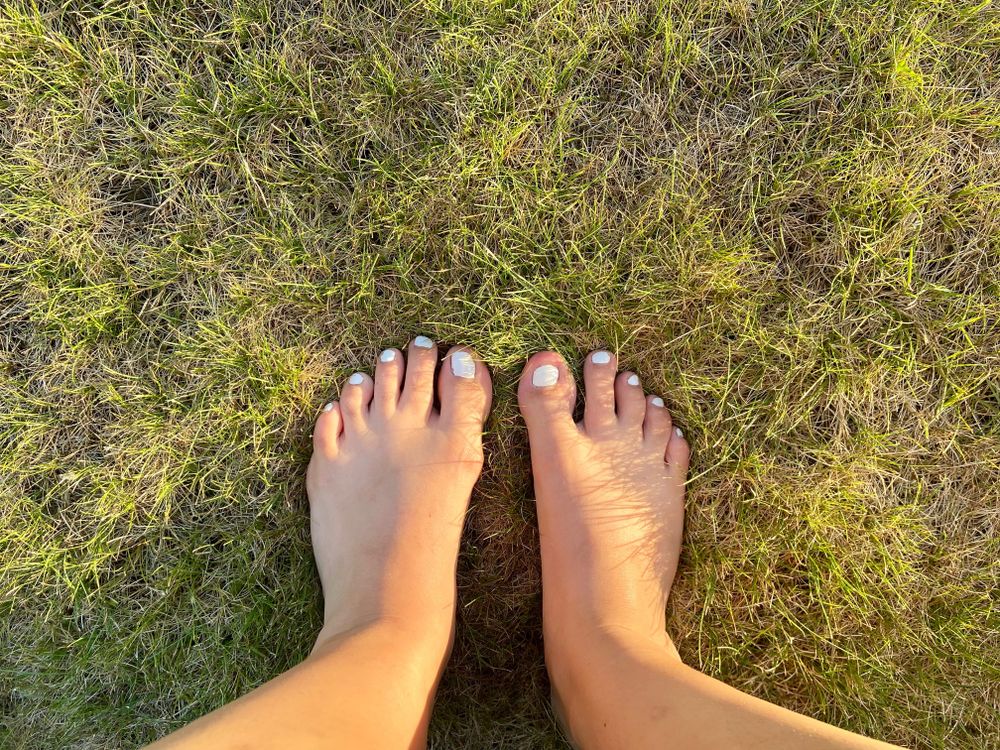 tinkerbellxel OnlyFans profile picture