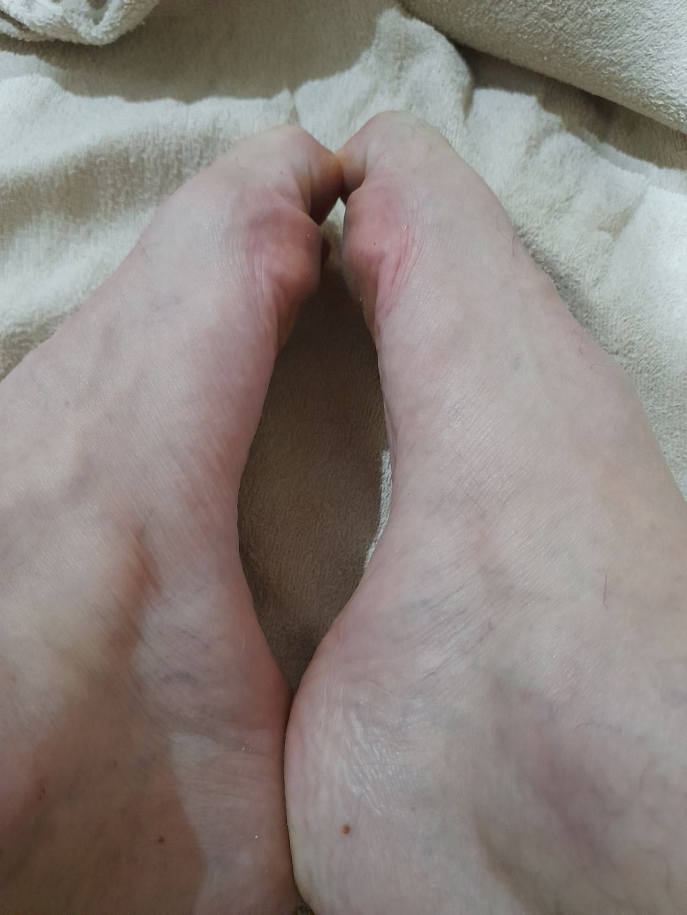 freigopie OnlyFans profile picture