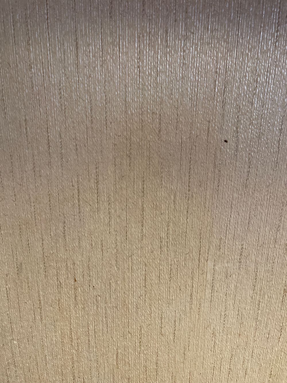 essek OnlyFans profile picture