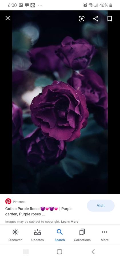 blackroses454 OnlyFans picture