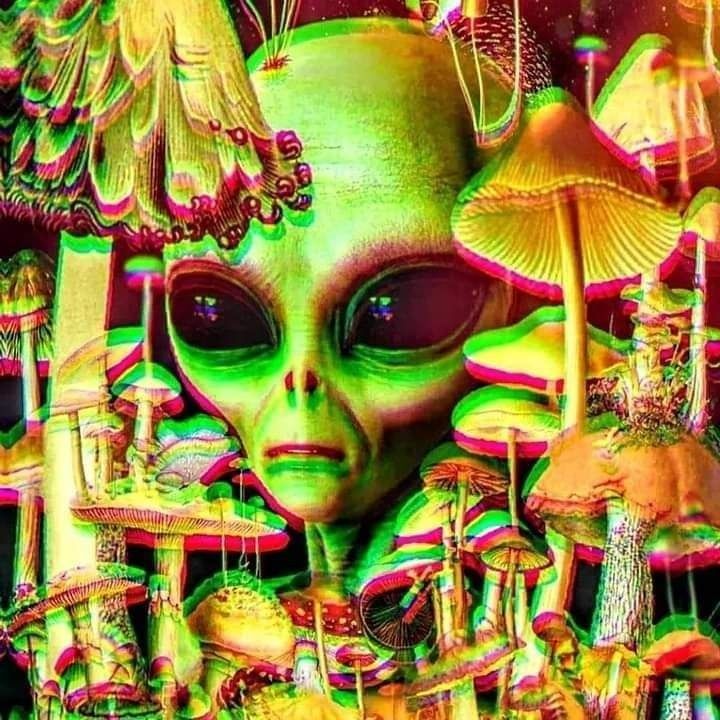 savagepanda0 OnlyFans profile picture