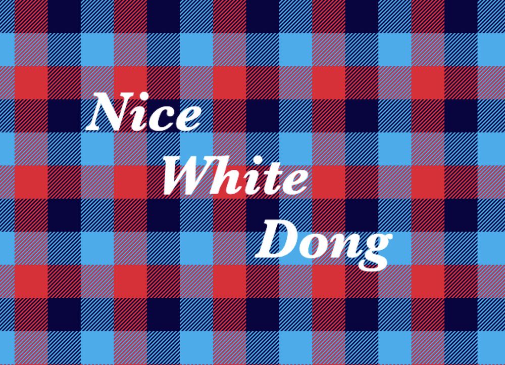 nicewhitedong OnlyFans profile picture