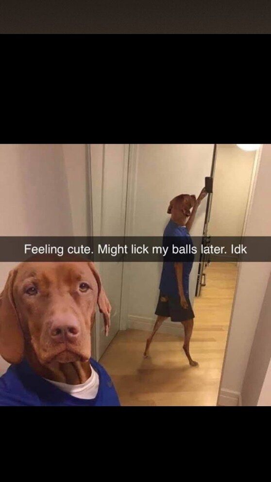 pussywhipper OnlyFans profile picture