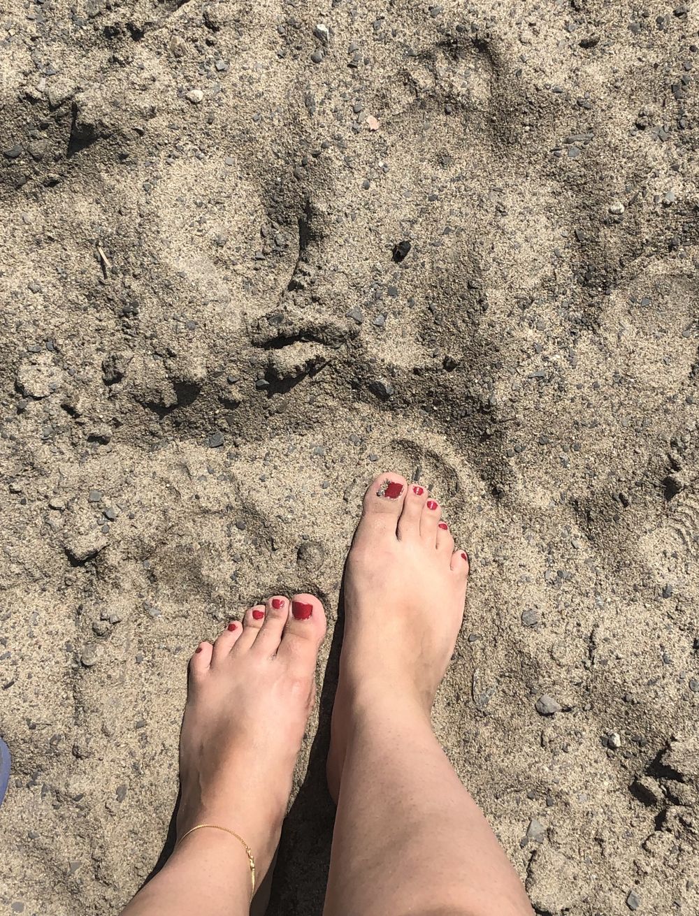 raileyfeet OnlyFans profile picture